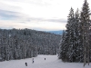 Steamboat 08